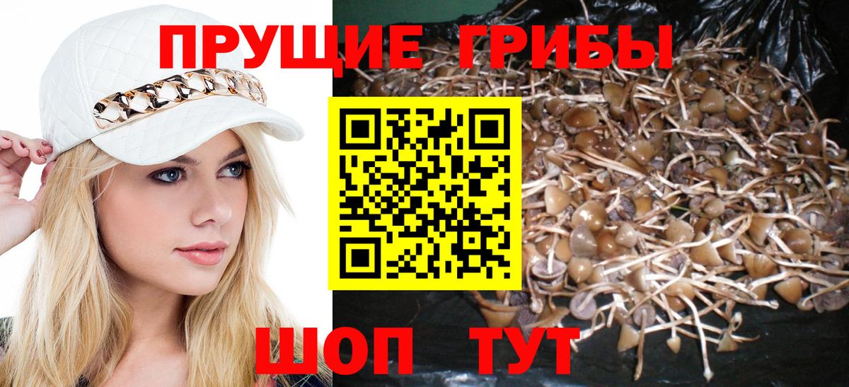 Шахты  Псилоцибиновые грибы Psilocybine cubensis  сколько стоит  Псилоцибиновые грибы Magic Shrooms  Вход с VPN 